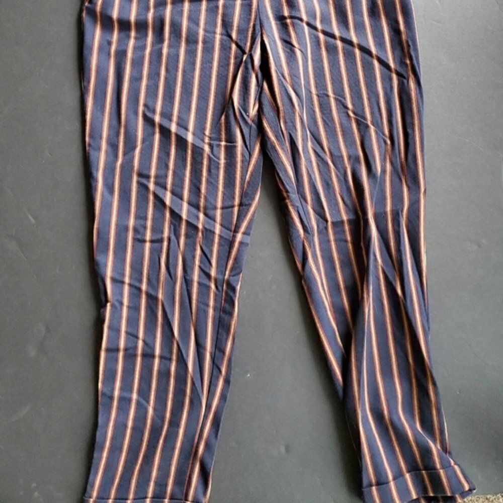 Zara Striped High Waisted Pants - Picture 13 of 14